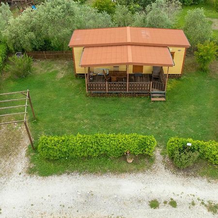 Agriturismo Nonna Stella Bibbona Εξωτερικό φωτογραφία