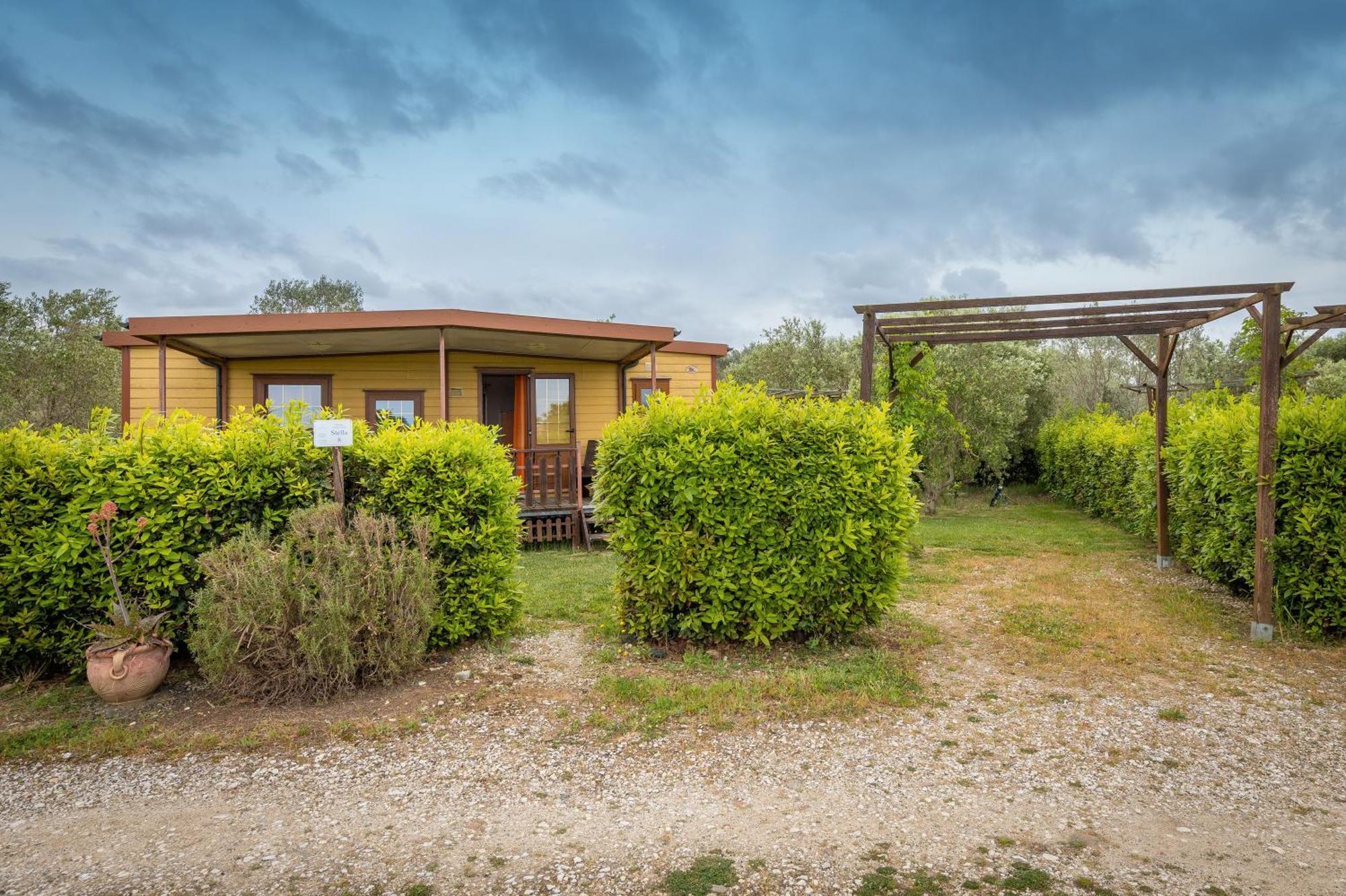 Agriturismo Nonna Stella Bibbona Εξωτερικό φωτογραφία