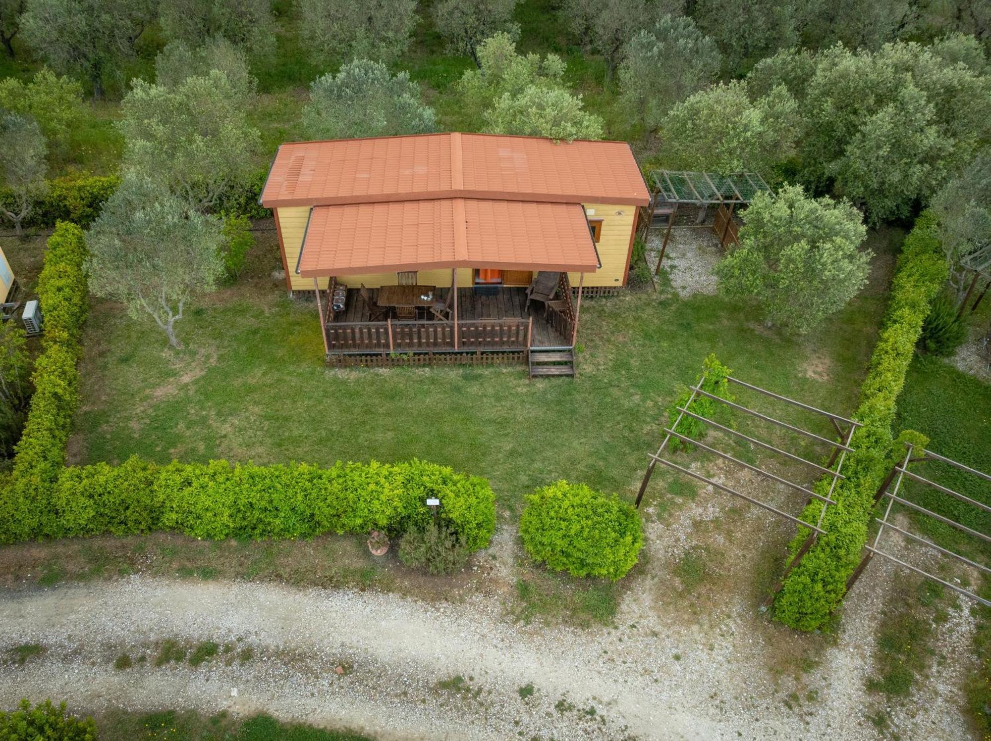 Agriturismo Nonna Stella Bibbona Εξωτερικό φωτογραφία